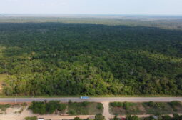 Lote 7 – Humaitá