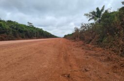 Lote 10 – Humaitá