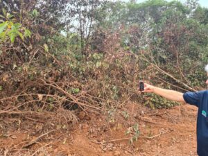 WhatsApp Image 2021 07 13 at 10.59.48 3