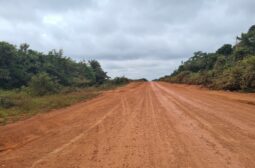 Lote 11 – Humaitá