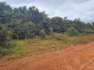 WhatsApp Image 2021 07 13 at 11.03.08 6