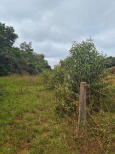 WhatsApp Image 2021 07 13 at 11.06.19 1