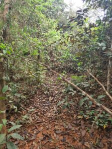 WhatsApp Image 2021 07 13 at 11.06.19 2