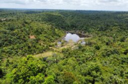 Lote 5 – Rio Preto da Eva