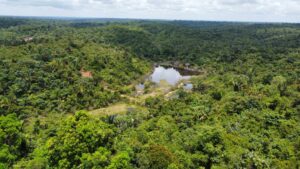 WhatsApp Image 2021 11 07 at 13.42.33 1