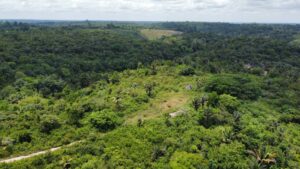 WhatsApp Image 2021 11 07 at 13.42.34 1