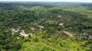 WhatsApp Image 2021 11 07 at 13.42.34 2