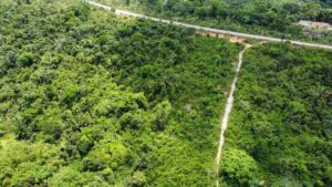 WhatsApp Image 2021 11 07 at 13.42.34 3