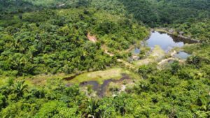 WhatsApp Image 2021 11 07 at 13.42.34