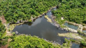 WhatsApp Image 2021 11 07 at 13.42.35 2