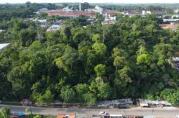 Lote 1 – Paraíso Tropical