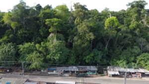 WhatsApp Image 2021 11 07 at 13.49.05