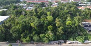 WhatsApp Image 2021 11 07 at 14.15.01